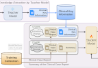 Decoder-based distillation framework diagram